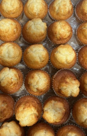 FAM599 MAGDALENAS FAMILY 1.5KG